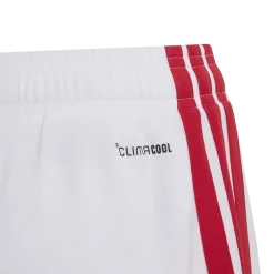 adidas Ajax Thuistenue 2026-2027 Kids