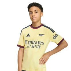 adidas Arsenal Eze 10 Derde Shirt 2026-2027 Kids