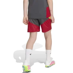 adidas AS Roma Trainingsbroekje 2026-2027 Kids Donkergrijs Rood Oranje