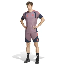 adidas Bayern München Europees Trainingsshirt 2026-2027 Lichtpaars Zwart Rood