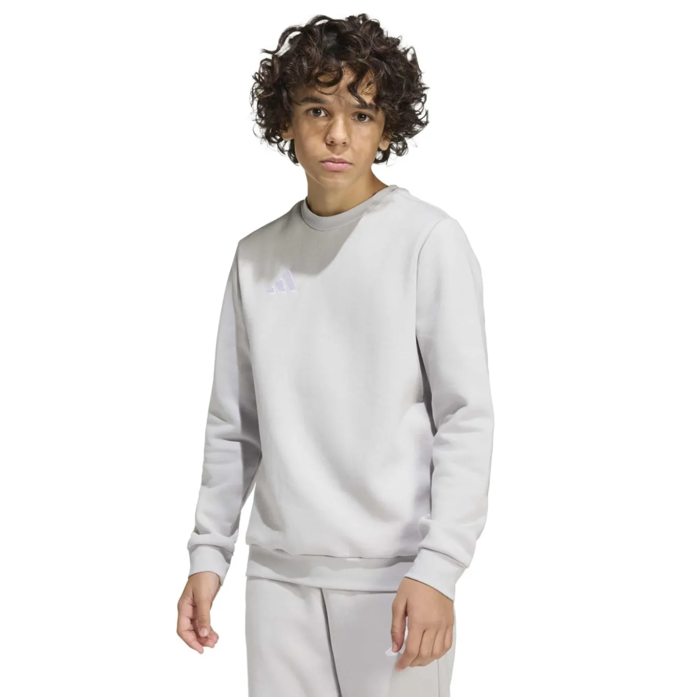 adidas Entrada 26 Crew Sweater Joggingpak Kids Grijs Wit