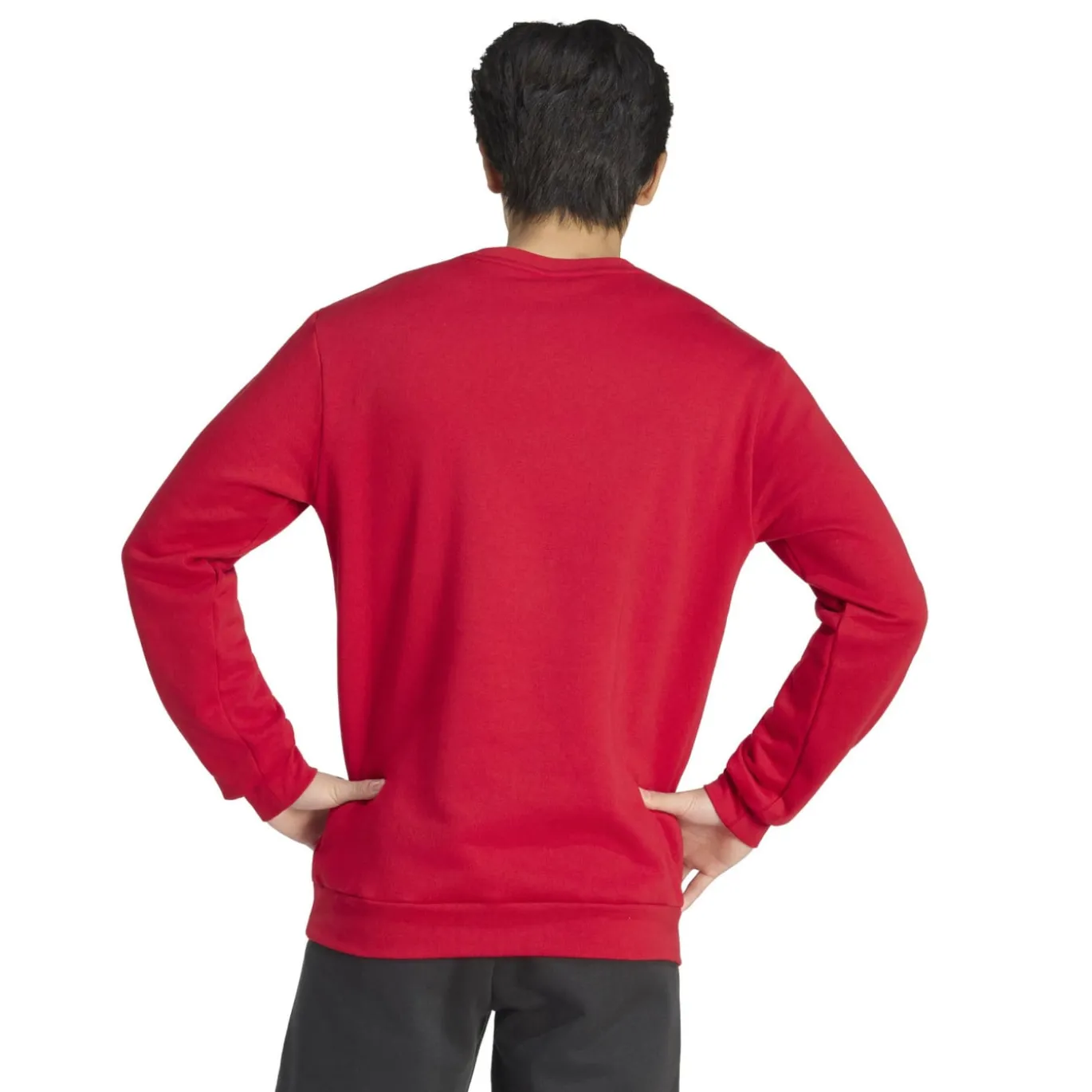 adidas Entrada 26 Crew Sweater Joggingpak Rood Zwart