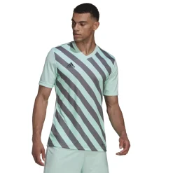 adidas Entrada 22 Graphic Voetbalshirt Lichtgroen Grijs