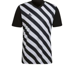 adidas Entrada 22 Graphic Voetbalshirt Zwart Wit