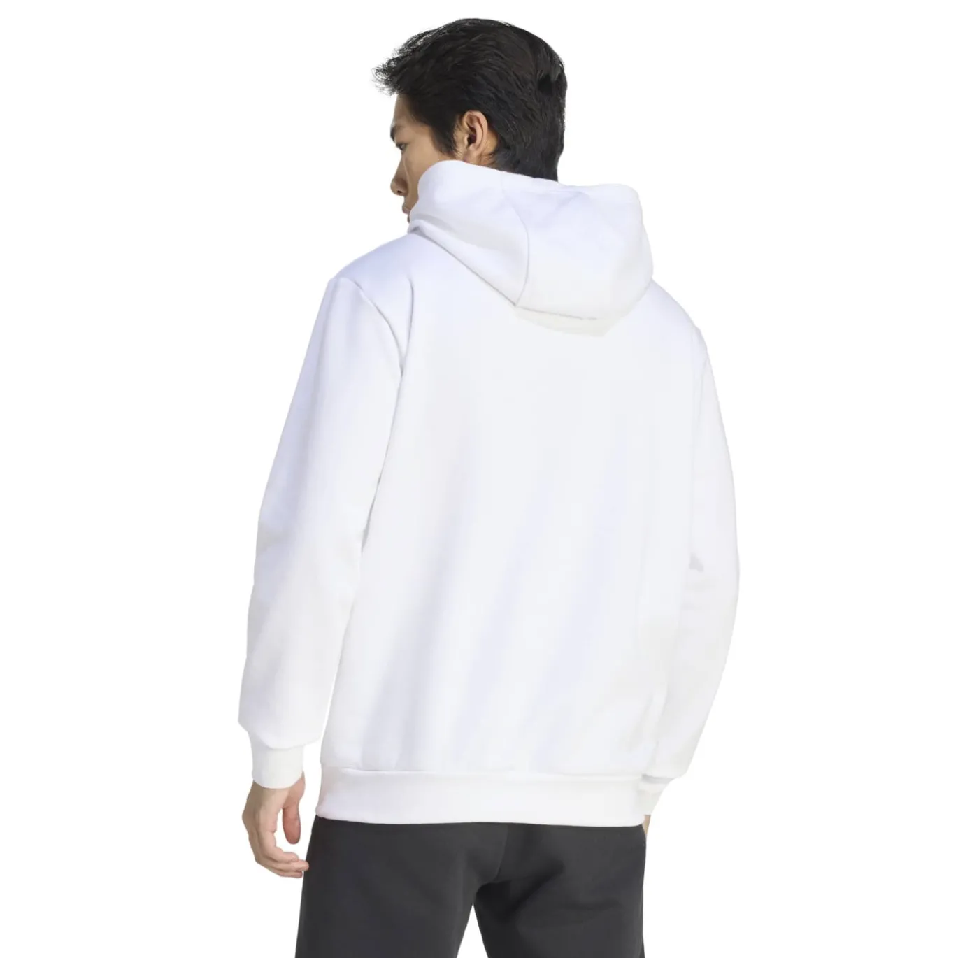 adidas Entrada 26 Hoodie Wit Zwart