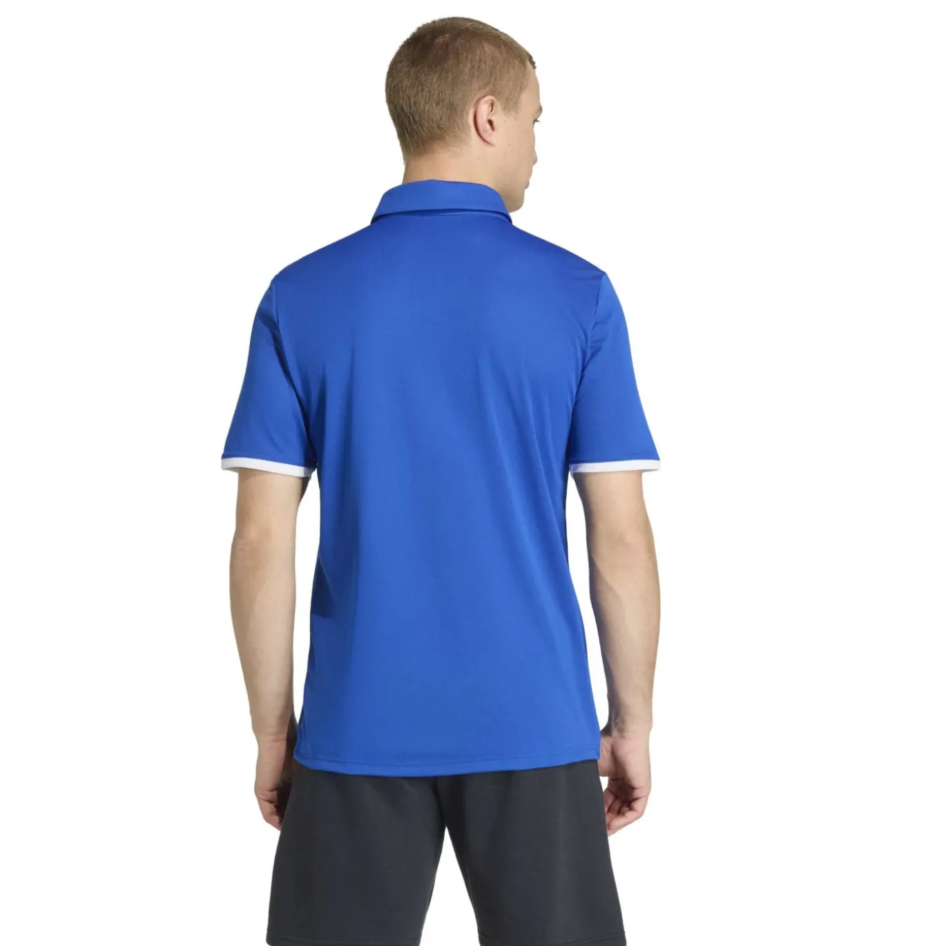 adidas Entrada 26 Polo Trainingsset Blauw Wit