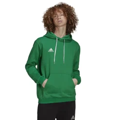 adidas Entrada 22 Sweat Hoodie Groen
