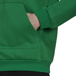 adidas Entrada 22 Sweat Hoodie Groen