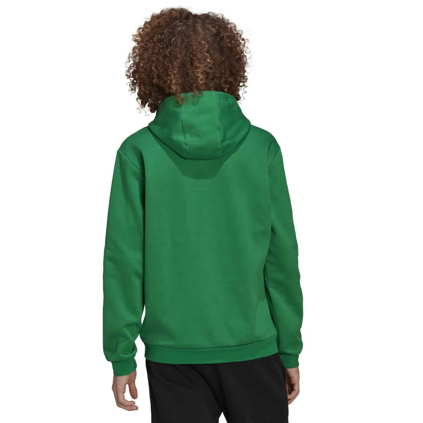 adidas Entrada 22 Sweat Hoodie Groen