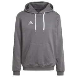 adidas Entrada 22 Sweat Hoodie Grijs Wit