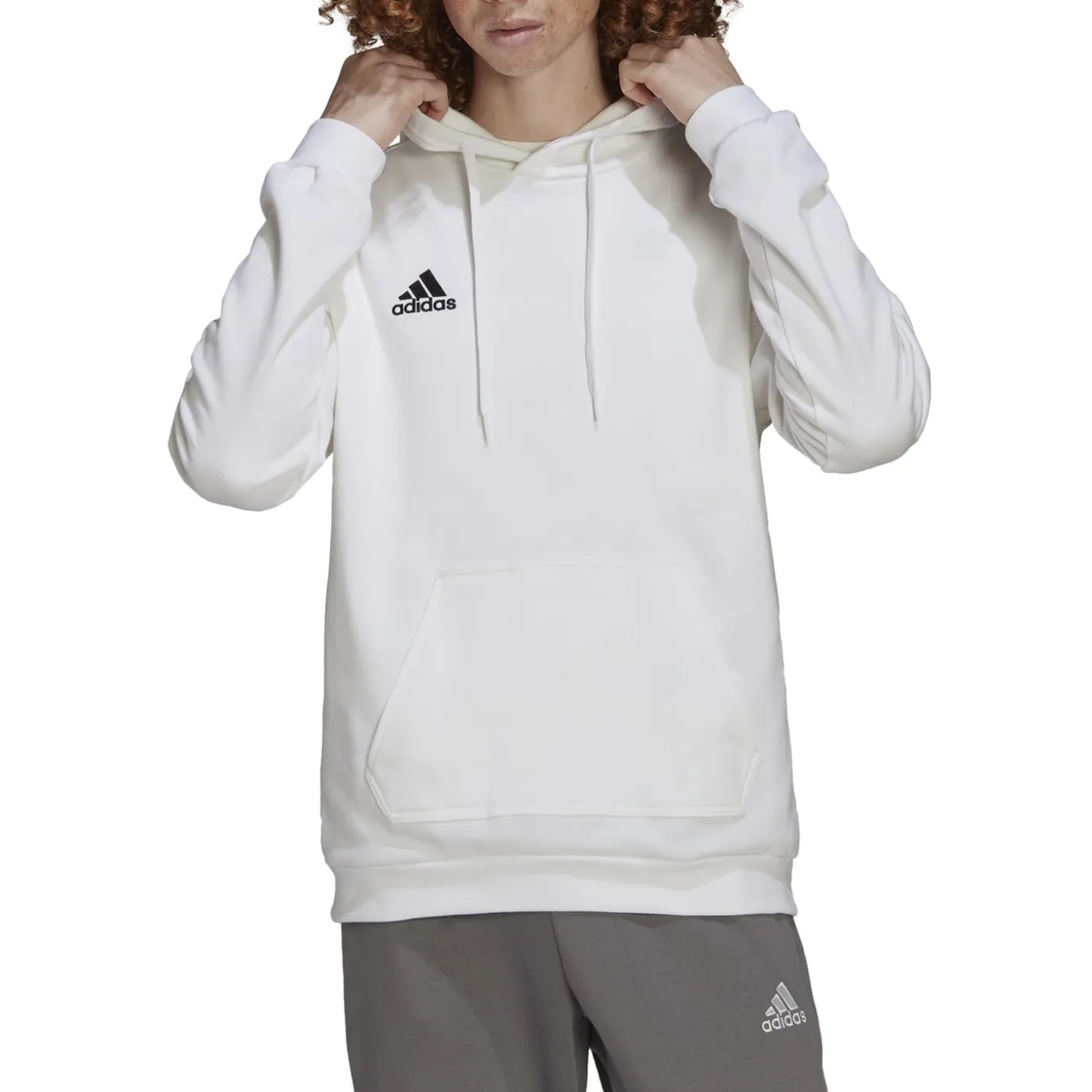adidas Entrada 22 Sweat Hoodie Wit Zwart