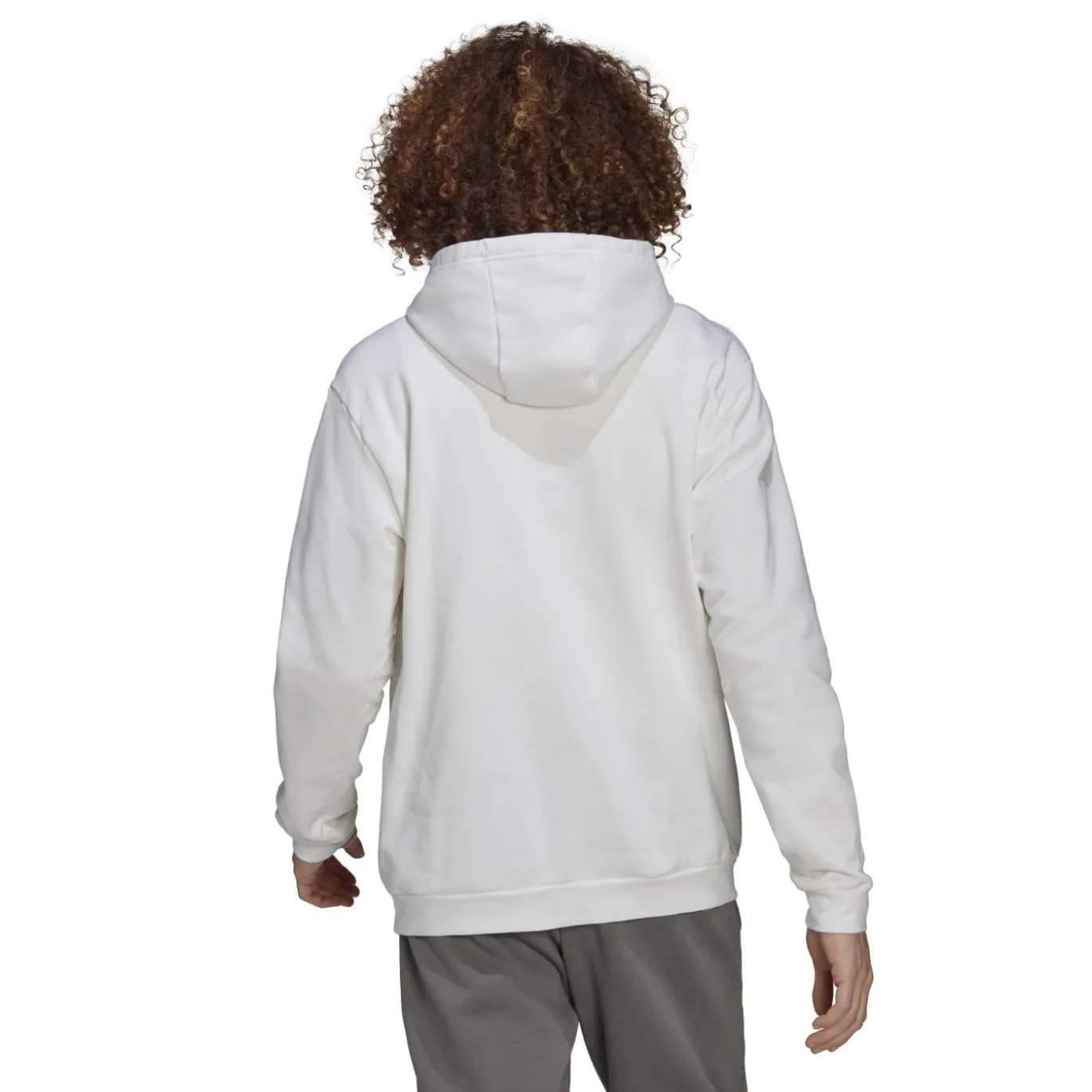 adidas Entrada 22 Sweat Hoodie Wit Zwart