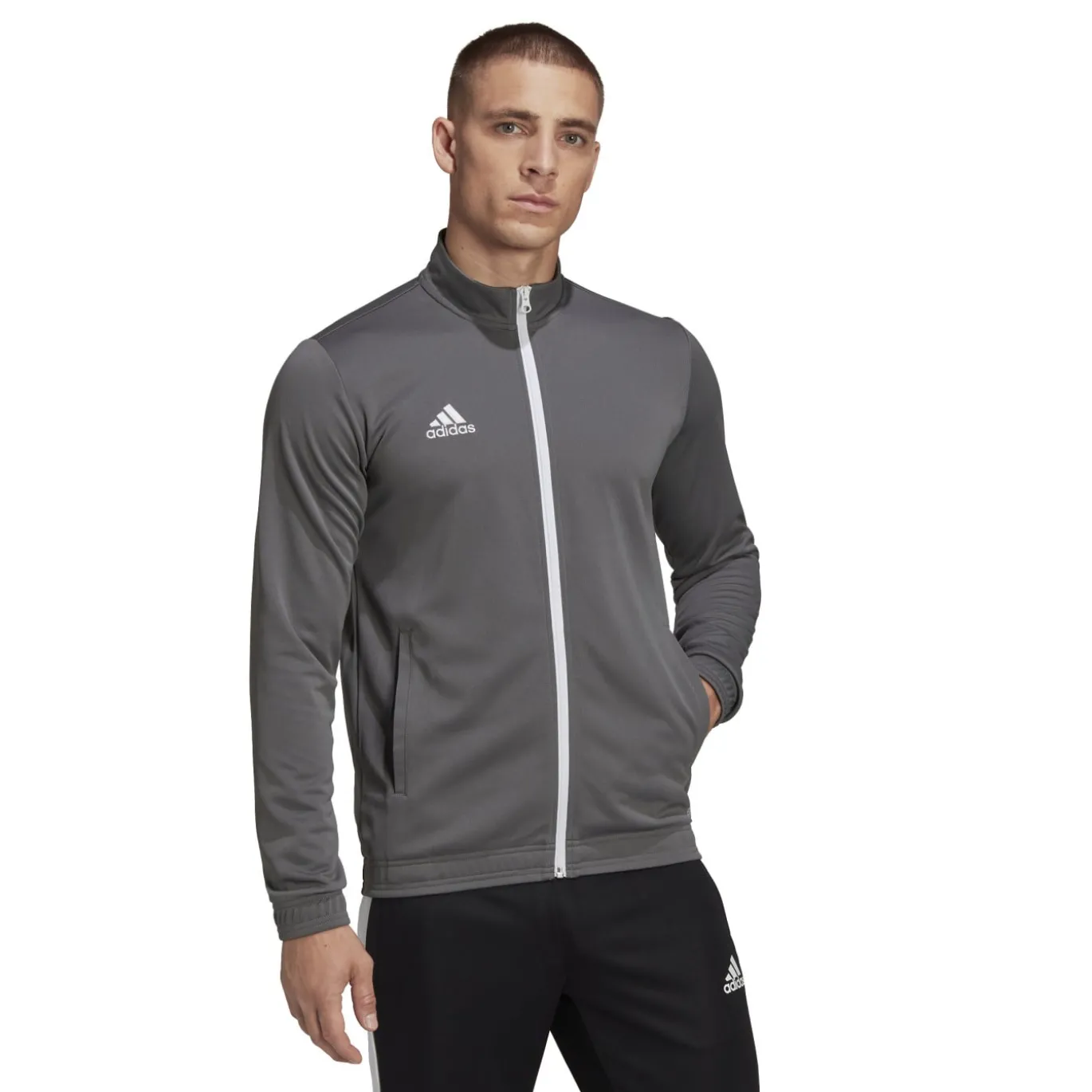 adidas Entrada 22 Trainingsjack Grijs Wit
