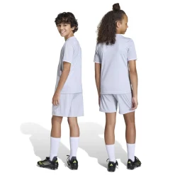 adidas Entrada 26 Voetbalbroekje Kids Grijs Wit