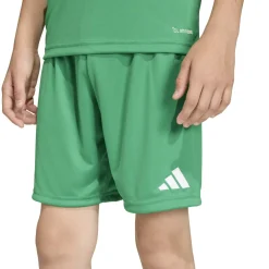 adidas Entrada 26 Voetbalbroekje Kids Groen Wit