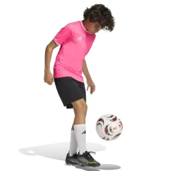adidas Entrada 26 Voetbalshirt Kids Lichtroze Wit