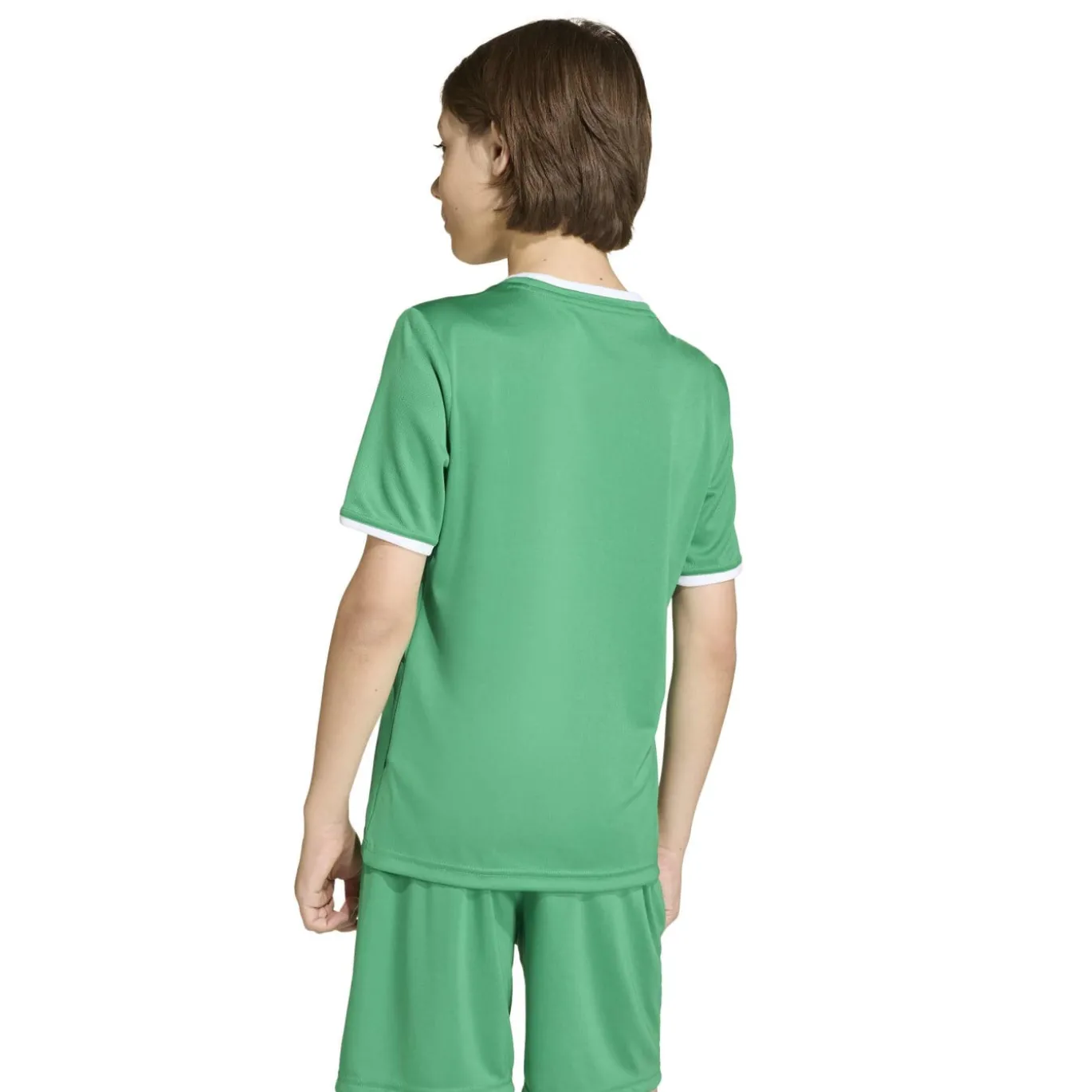 adidas Entrada 26 Voetbalshirt Kids Groen Wit