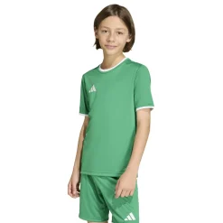 adidas Entrada 26 Voetbalshirt Kids Groen Wit