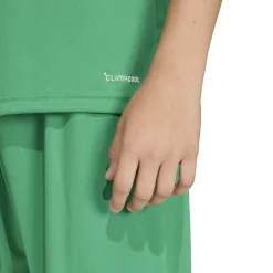 adidas Entrada 26 Voetbalshirt Kids Groen Wit