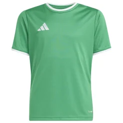 adidas Entrada 26 Voetbalshirt Kids Groen Wit