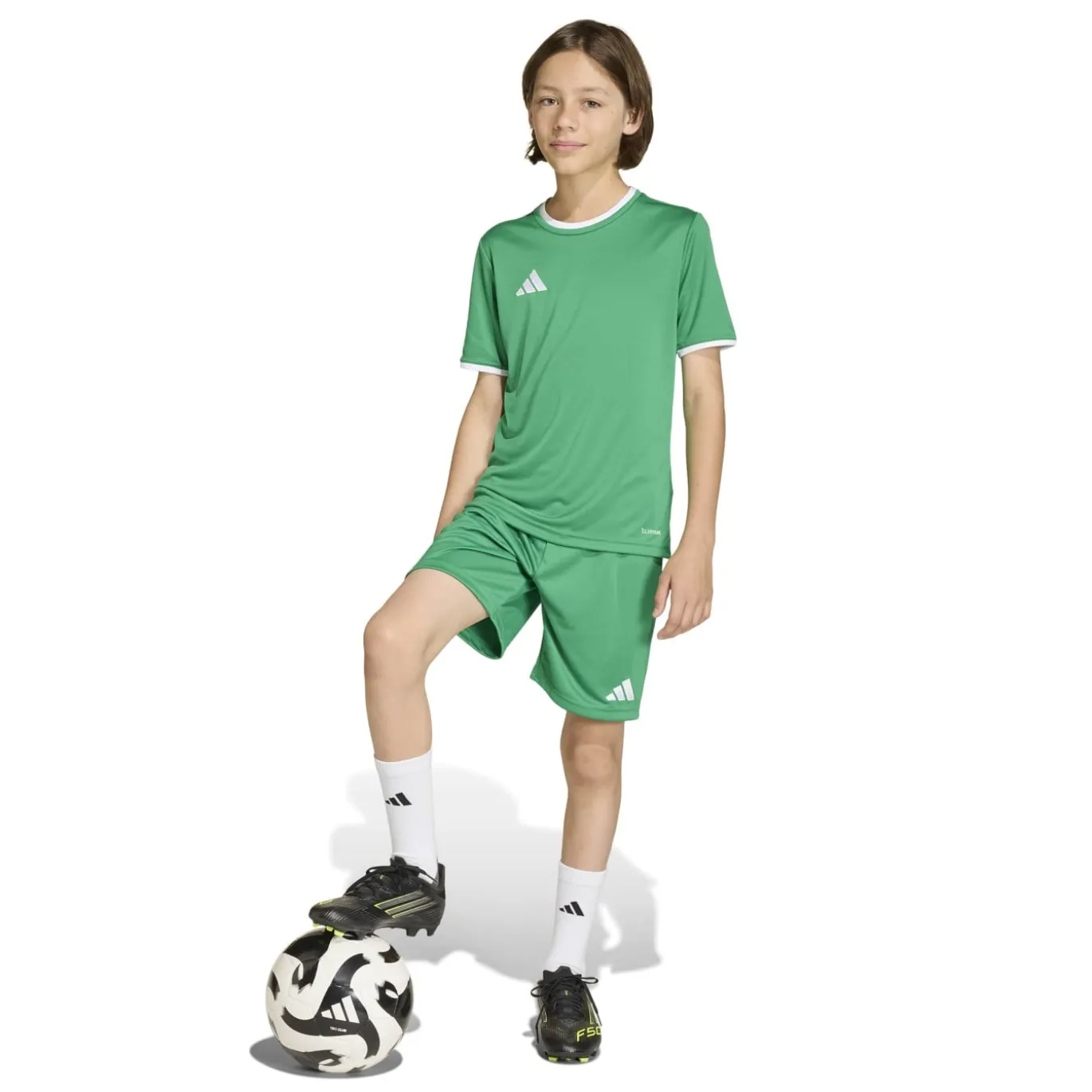 adidas Entrada 26 Voetbalshirt Kids Groen Wit