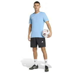 adidas Entrada 26 Voetbalshirt Lichtblauw Wit