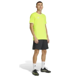 adidas Entrada 26 Voetbalshirt Felgeel Wit