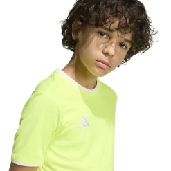 adidas Entrada 26 Voetbalshirt Kids Felgeel Wit