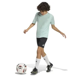 adidas Entrada 26 Voetbalshirt Kids Mintgroen Wit