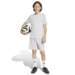 adidas Entrada 26 Voetbalshirt Kids Grijs Wit