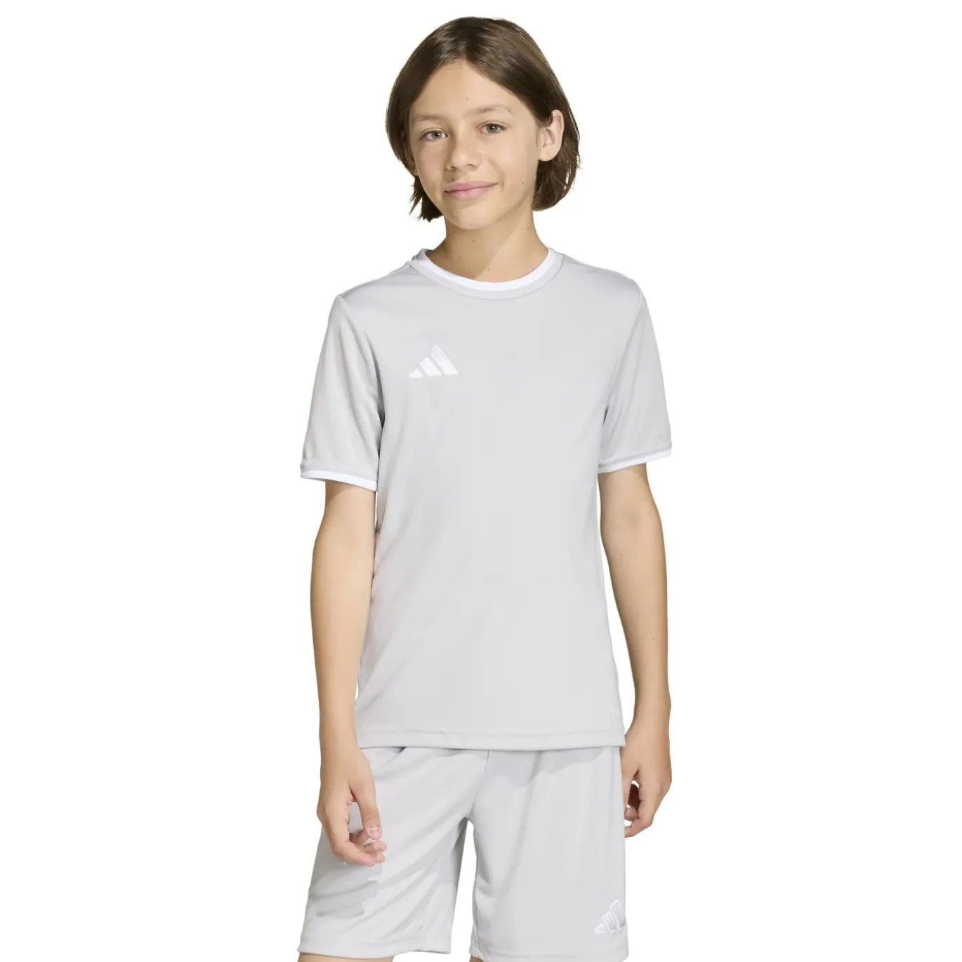 adidas Entrada 26 Voetbalshirt Kids Grijs Wit