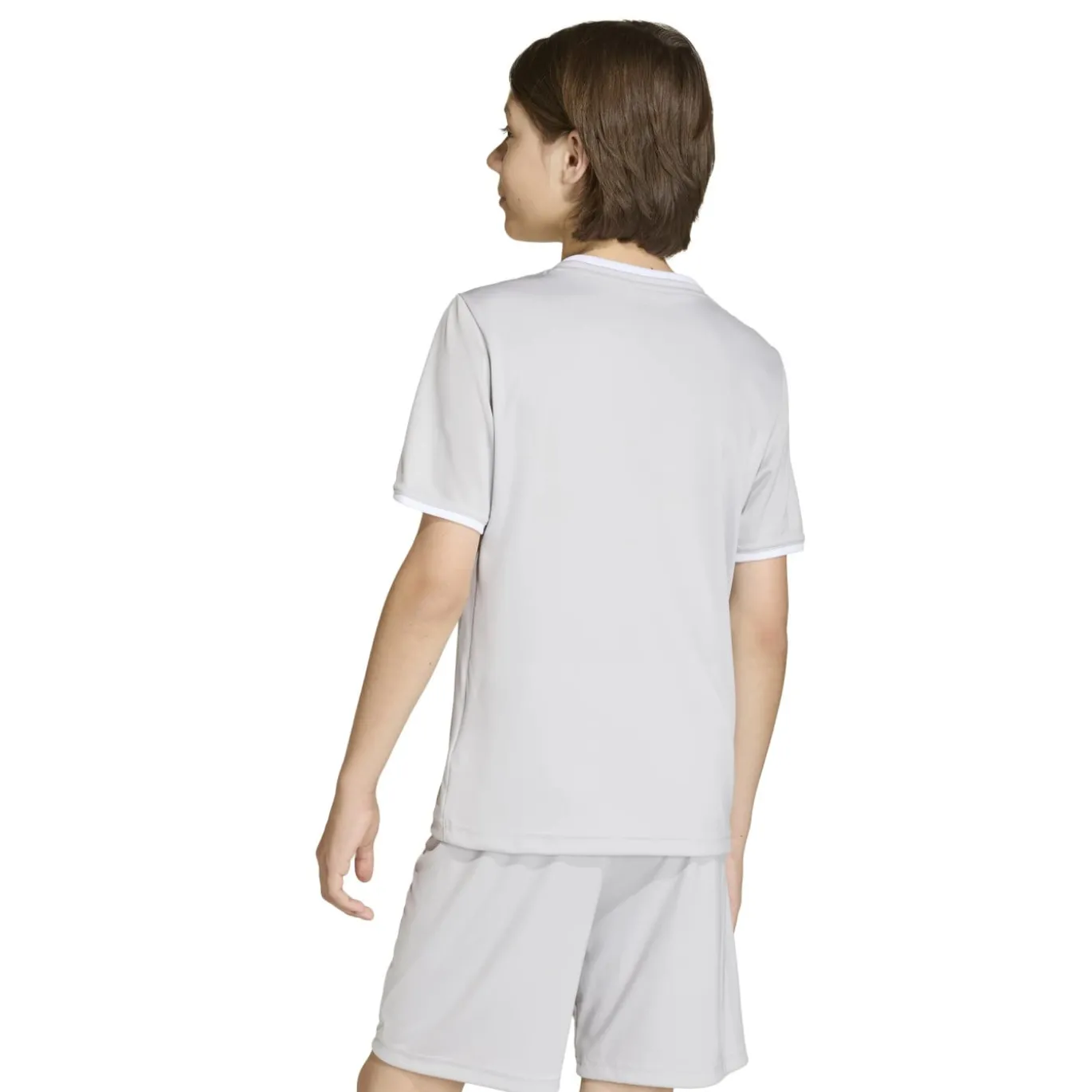 adidas Entrada 26 Voetbalshirt Kids Grijs Wit