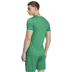 adidas Entrada 26 Voetbalshirt Groen Wit