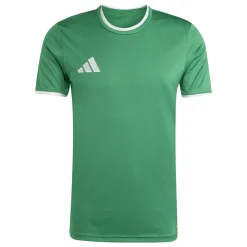 adidas Entrada 26 Voetbalshirt Groen Wit