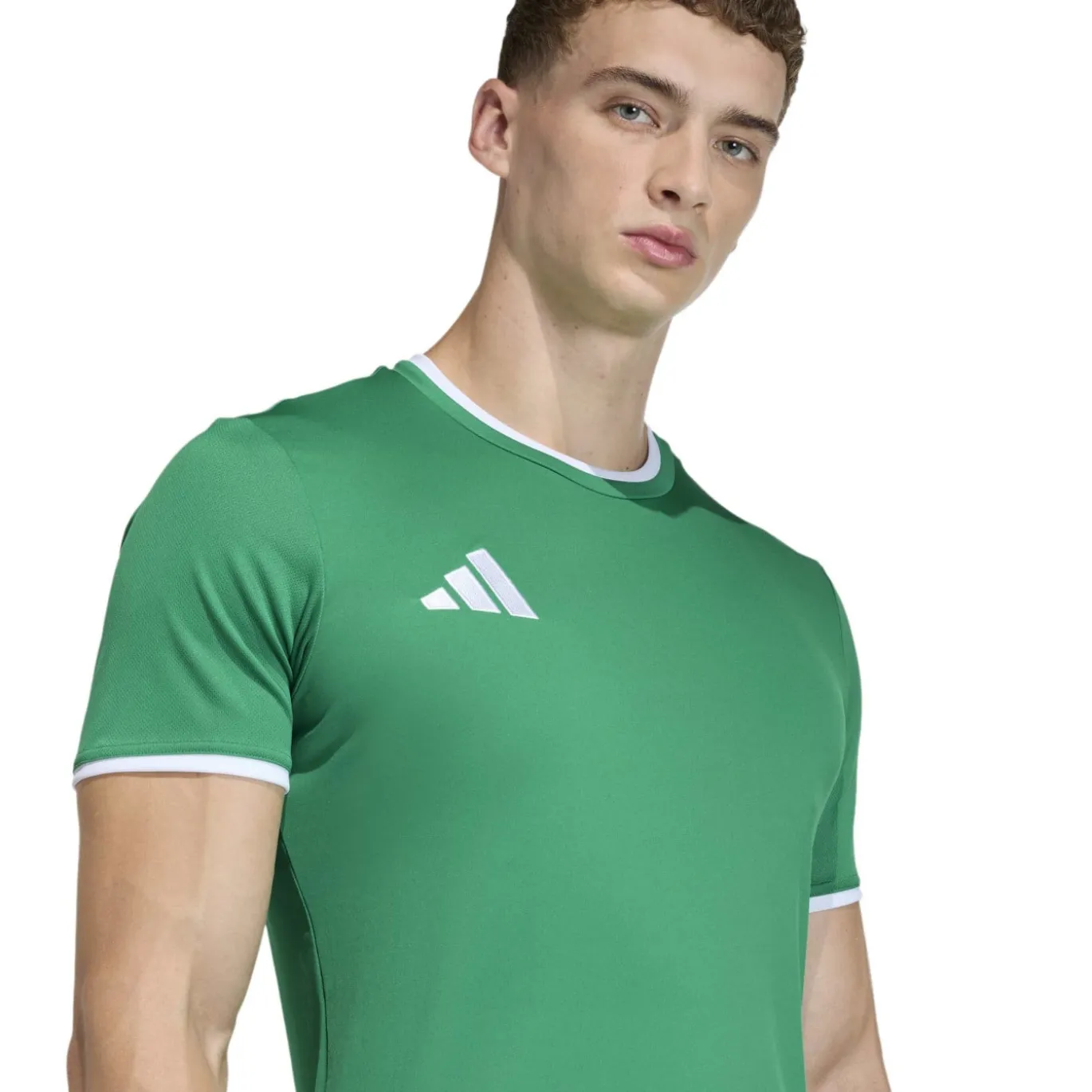 adidas Entrada 26 Voetbalshirt Groen Wit