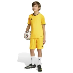 adidas Entrada 26 Voetbalshirt Kids Geel Zwart