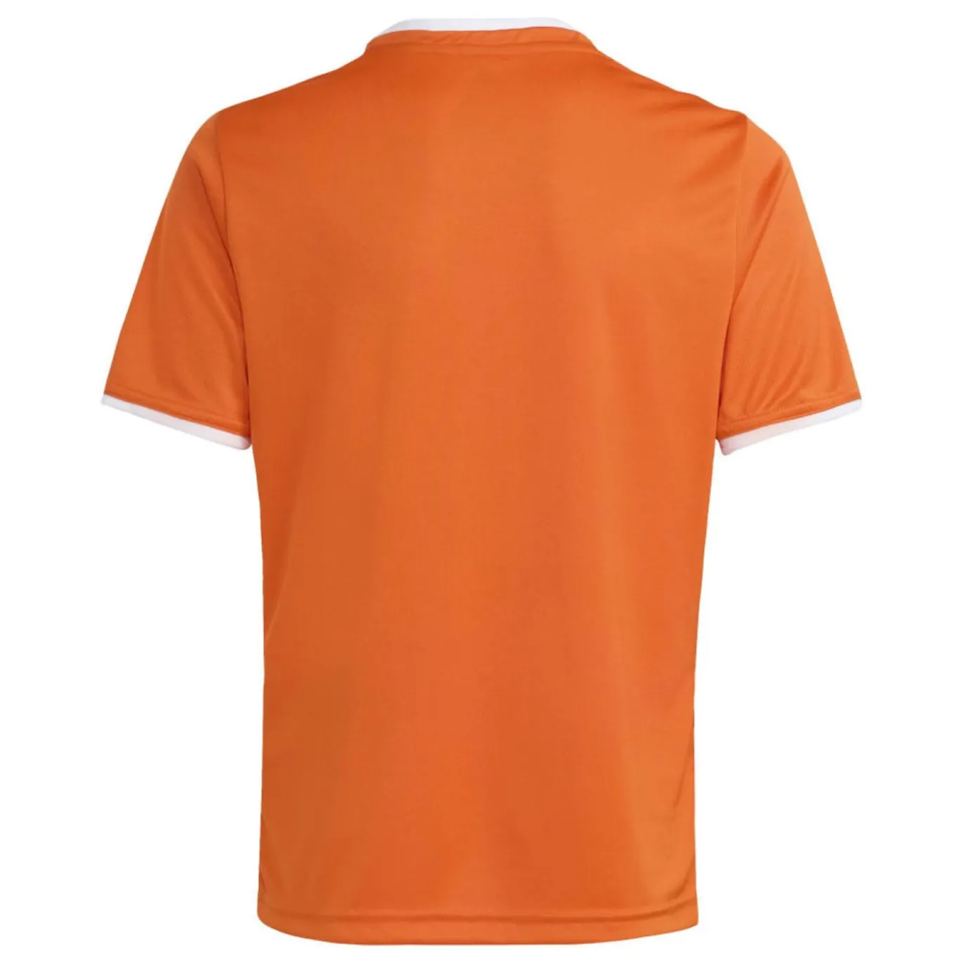 adidas Entrada 26 Voetbalshirt Kids Oranje Wit