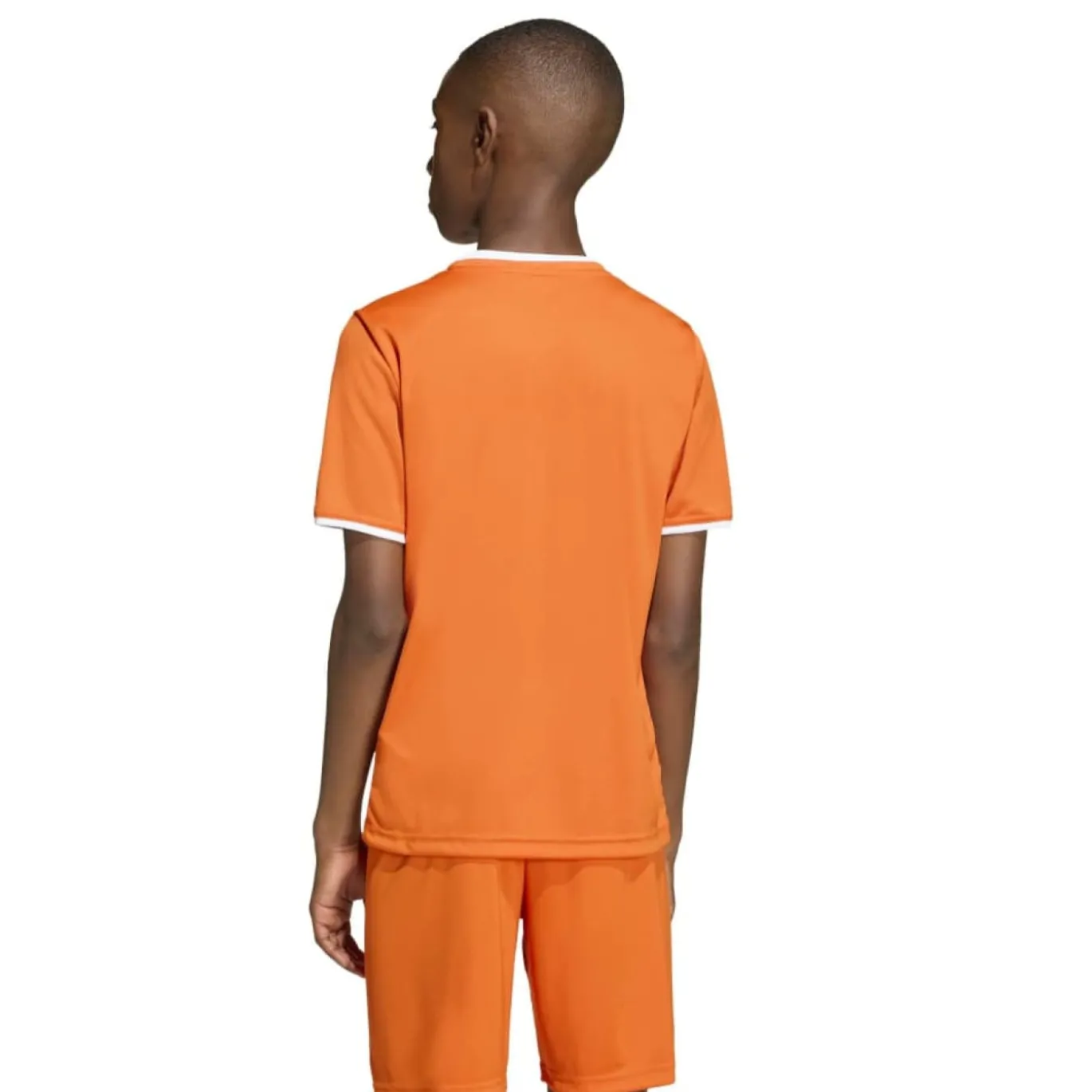 adidas Entrada 26 Voetbalshirt Kids Oranje Wit