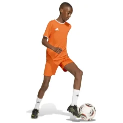adidas Entrada 26 Voetbalshirt Kids Oranje Wit