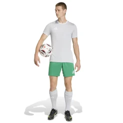 adidas Entrada 26 Voetbalshirt Grijs Wit