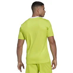 adidas Entrada 22 Voetbalshirt Geel Wit