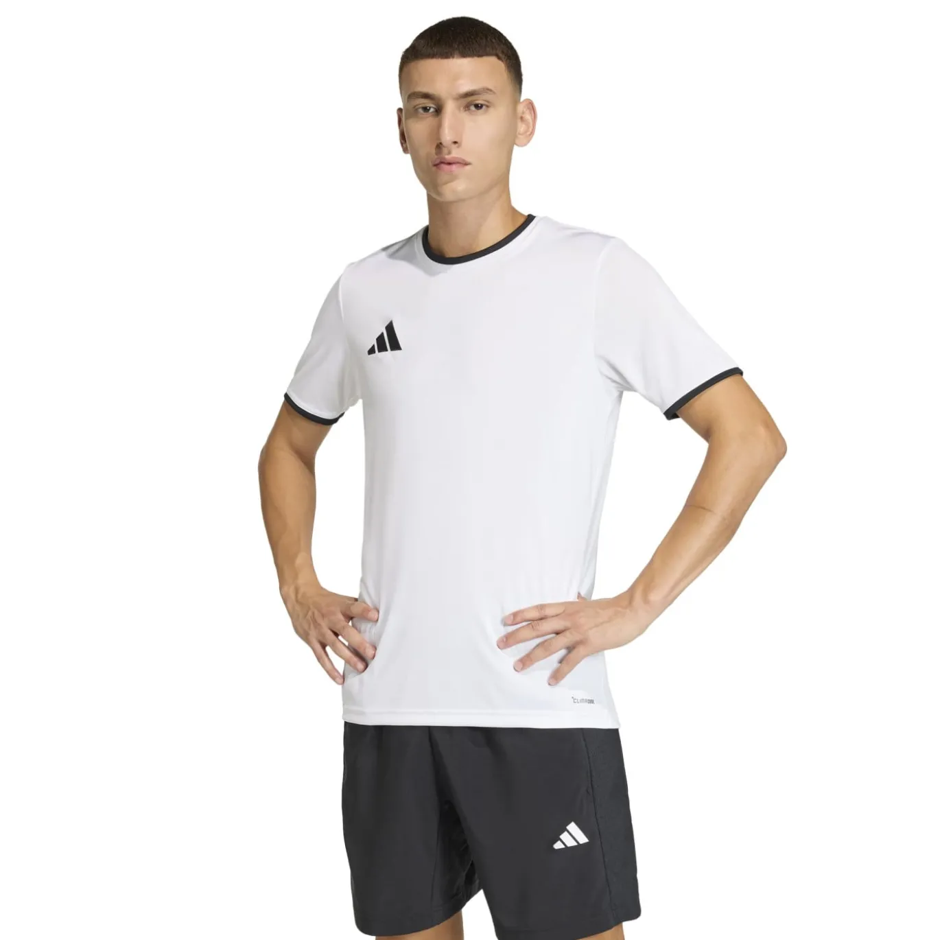 adidas Entrada 26 Voetbalshirt Wit Zwart