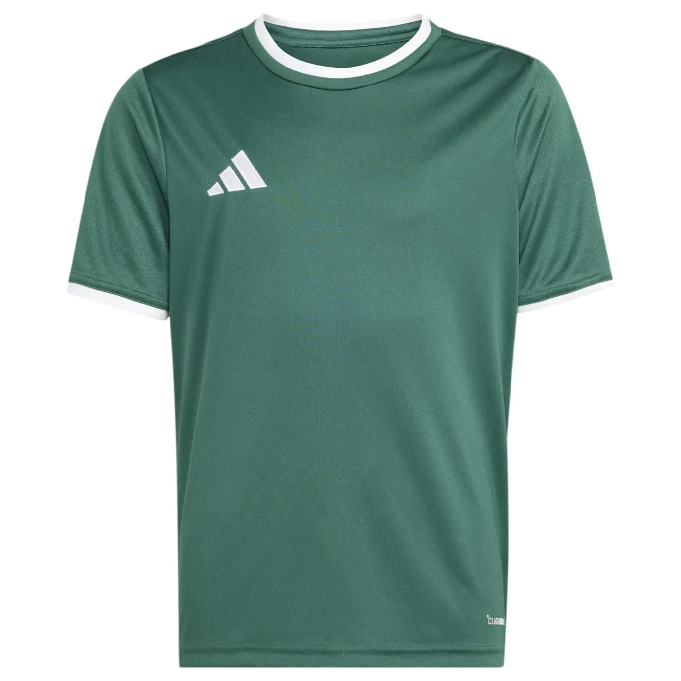 adidas Entrada 26 Voetbalshirt Kids Donkergroen Wit