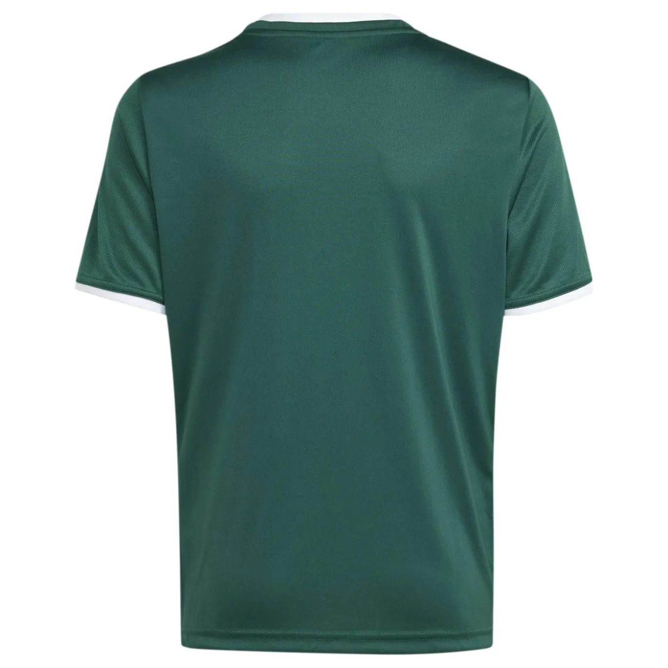 adidas Entrada 26 Voetbalshirt Kids Donkergroen Wit