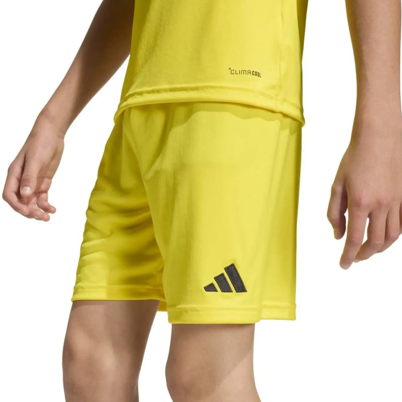 adidas Entrada 26 Voetbaltenue Kids Geel Zwart