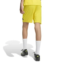 adidas Entrada 26 Voetbaltenue Kids Geel Zwart