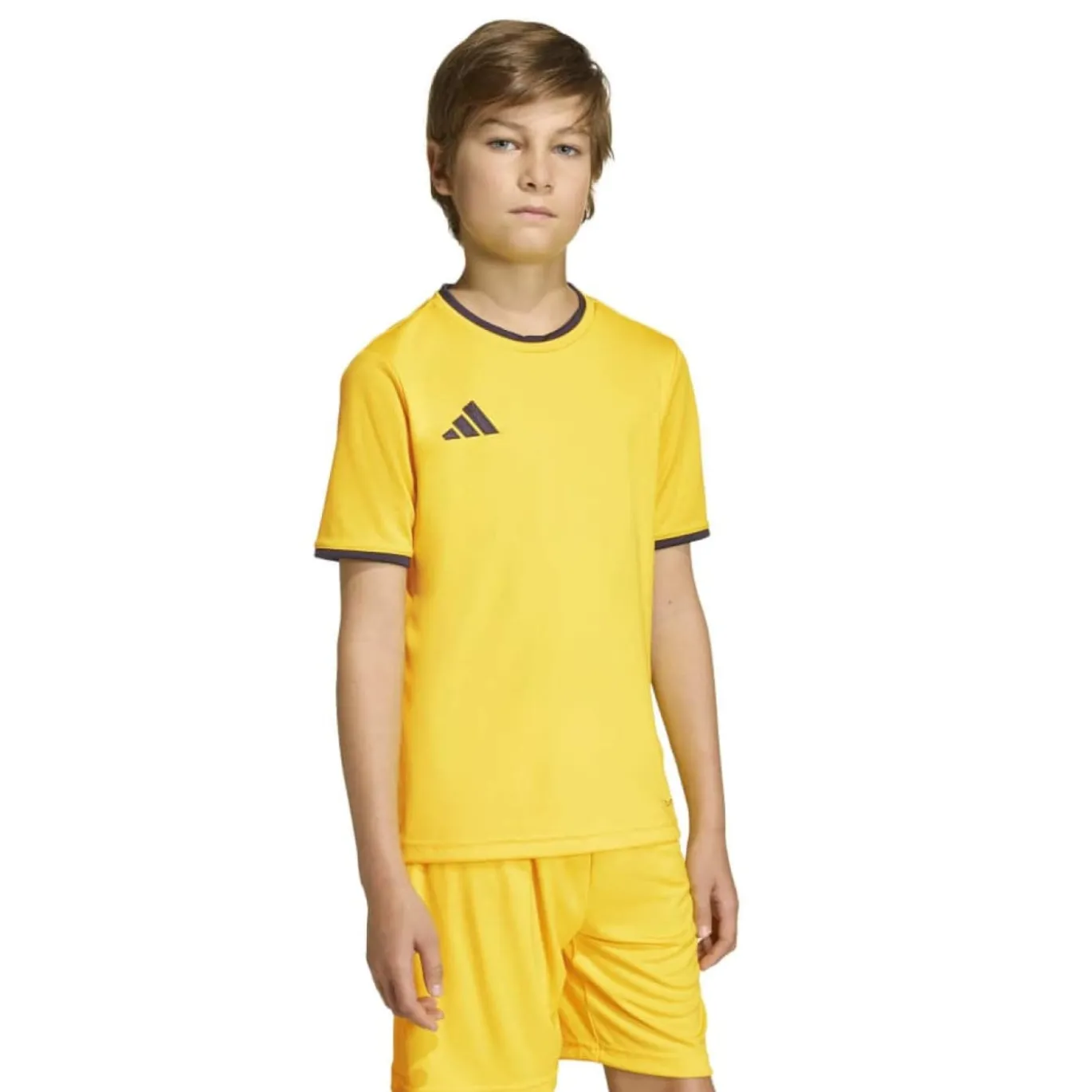 adidas Entrada 26 Voetbaltenue Kids Geel Zwart