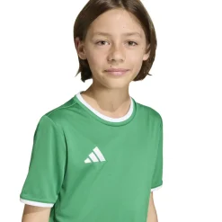 adidas Entrada 26 Voetbaltenue Kids Groen Wit