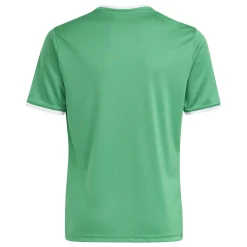 adidas Entrada 26 Voetbaltenue Kids Groen Wit