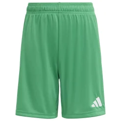 adidas Entrada 26 Voetbaltenue Kids Groen Wit